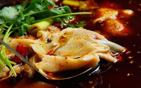 冷鍋魚培訓 冷鍋魚培訓