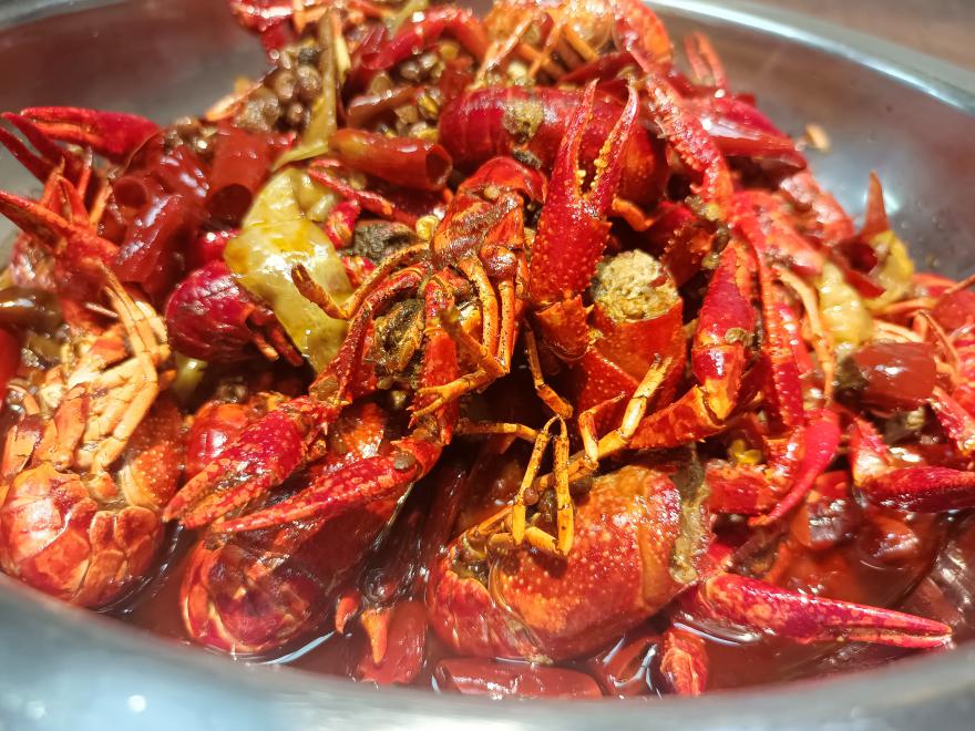 20220406142730888003.jpg 20220406142730888003.jpg