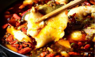 學做冷鍋魚技術培訓哪里比較好?