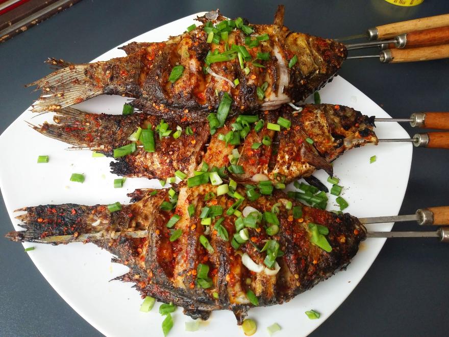 20230320171847471198.jpg 20230320171847471198.jpg