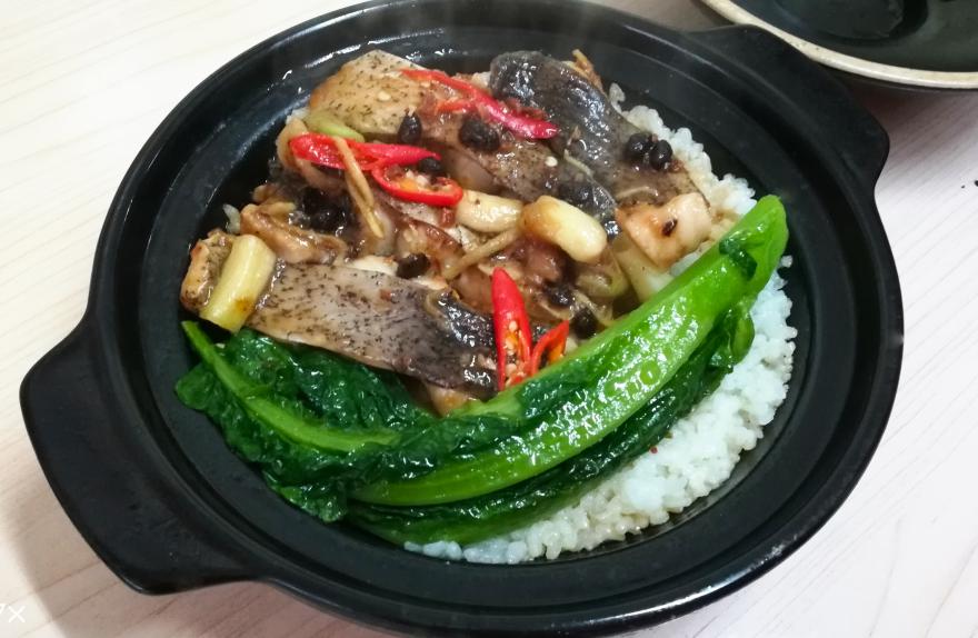 20240304234815122472.jpg 20240304234815122472.jpg