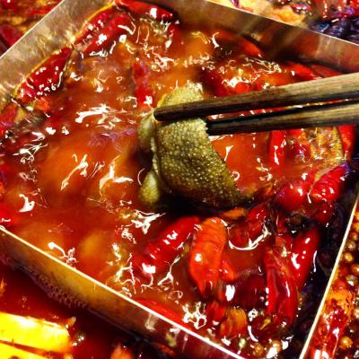 成都火鍋培訓多少錢? 成都火鍋培訓多少錢?